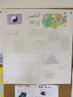 Geeko (Mia und Marc 7d)