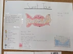 Sweet Town (Ceylin 7g)
